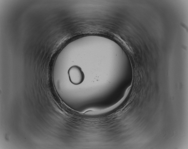 X0000094970203200712131502