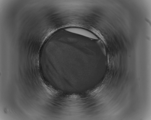 X0000094970204200712131502