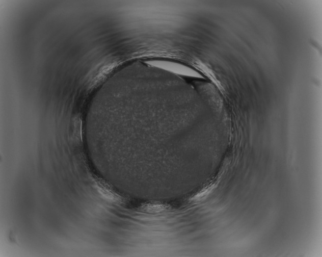 X0000094970205200712131502