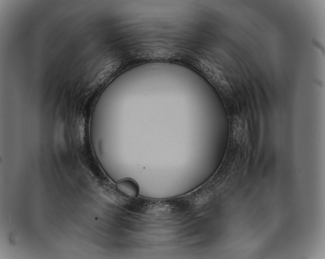 X0000094970206200712131502