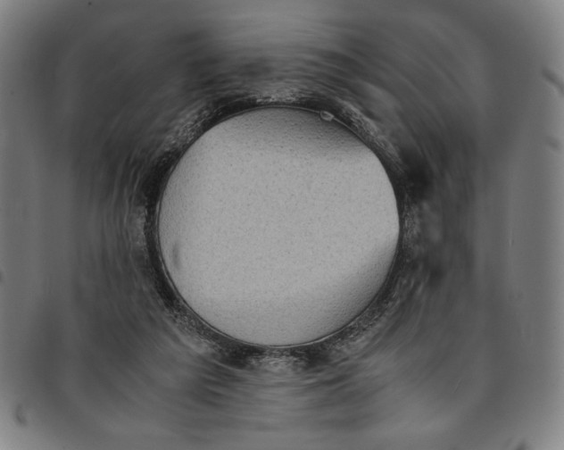 X0000094970209200712131502