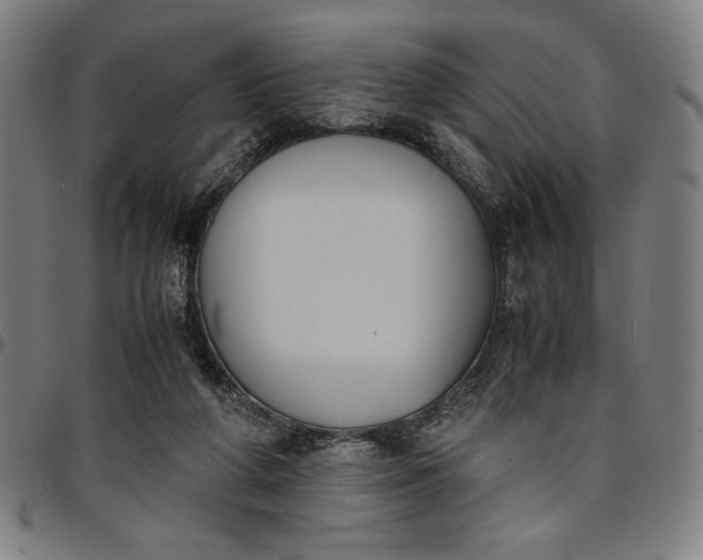 X0000094970210200712131502