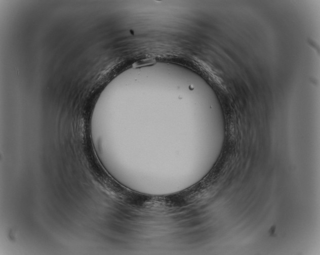 X0000094970211200712131502