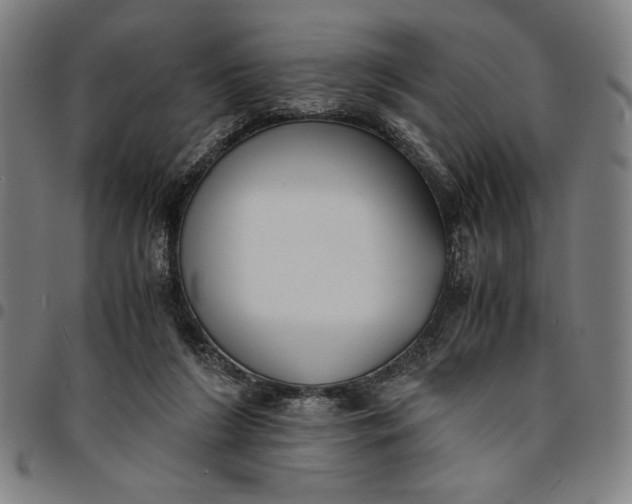 X0000094970212200712131502