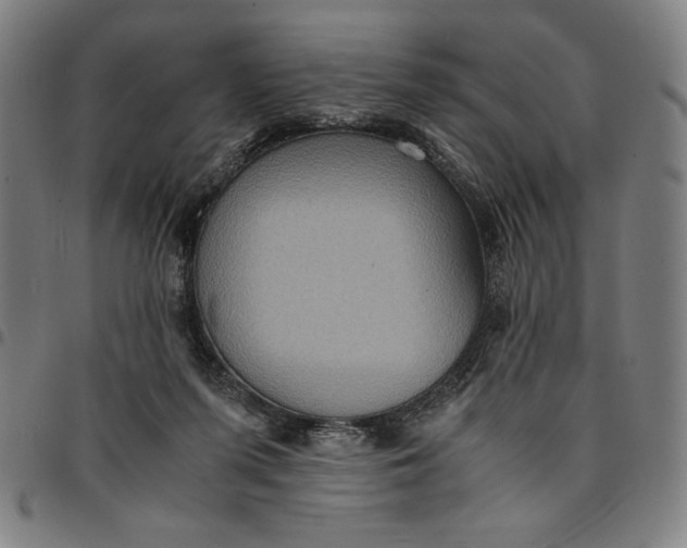 X0000094970215200712131502