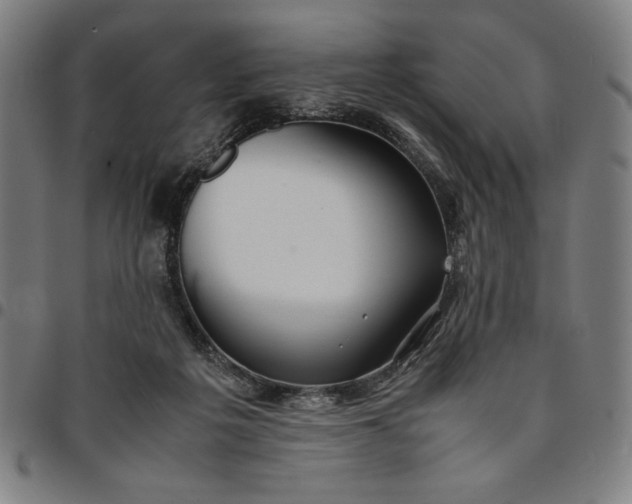 X0000094970217200712131502