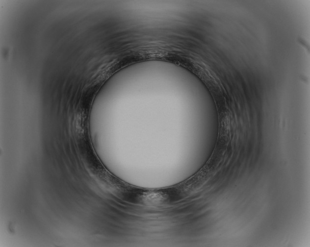 X0000094970218200712131502