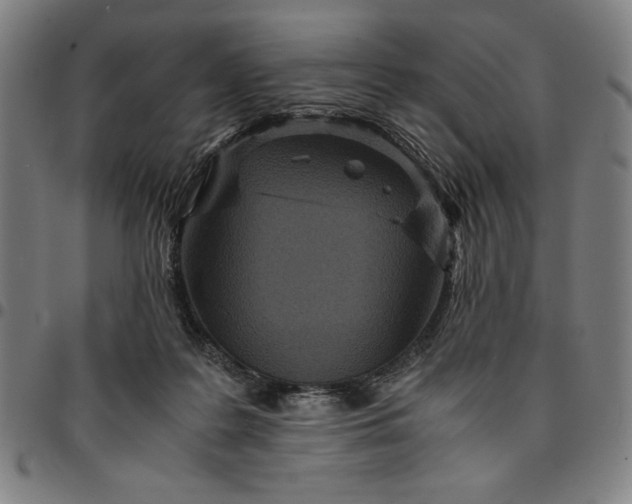 X0000094970219200712131502