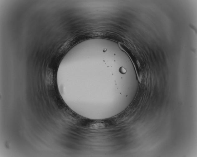 X0000094970220200712131502