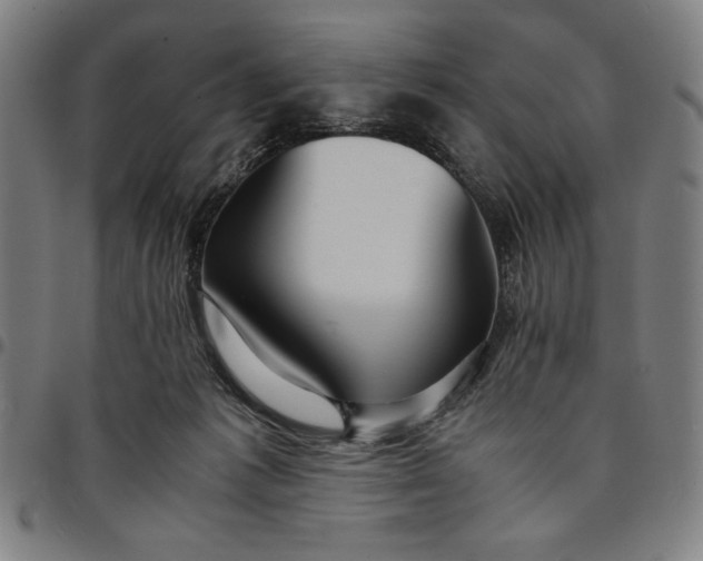 X0000094970221200712131502