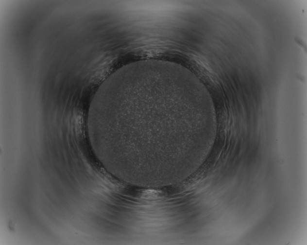 X0000094970222200712131502