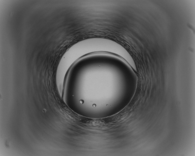 X0000094970223200712131502