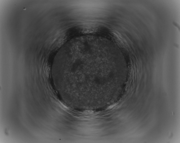 X0000094970227200712131502