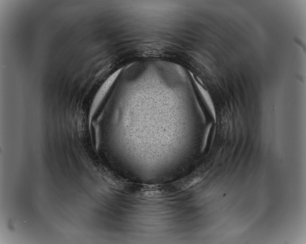 X0000094970228200712131502