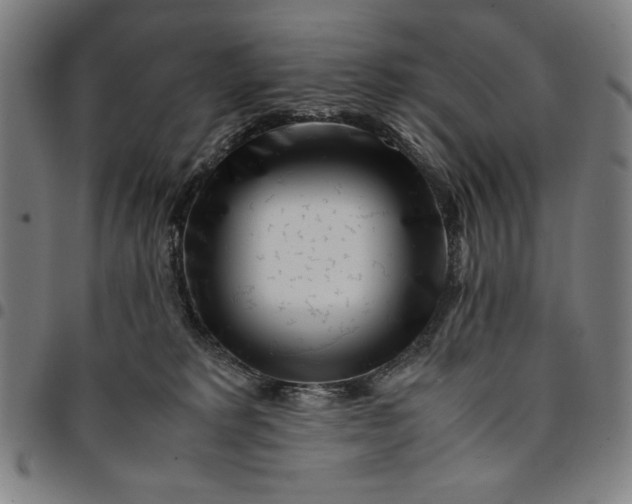 X0000094970229200712131502