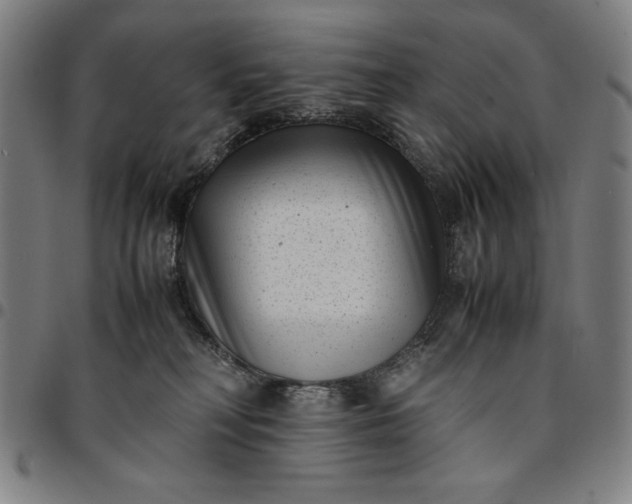 X0000094970230200712131502