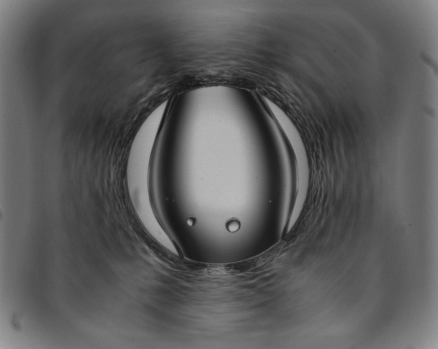 X0000094970231200712131502