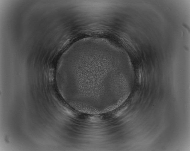 X0000094970232200712131502