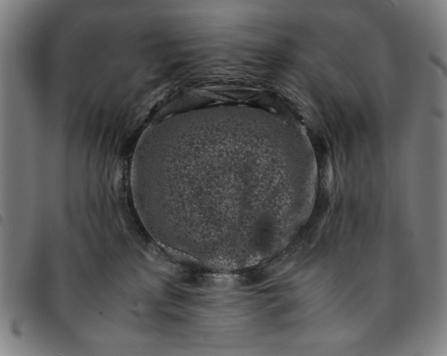 X0000094970233200712131502