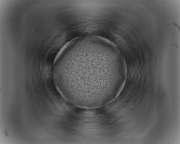 X0000094970236200712131502