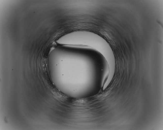 X0000094970237200712131502