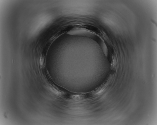 X0000094970239200712131502