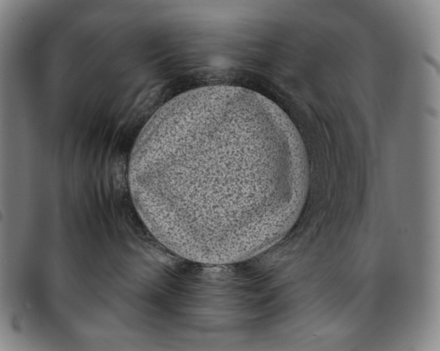 X0000094970240200712131502