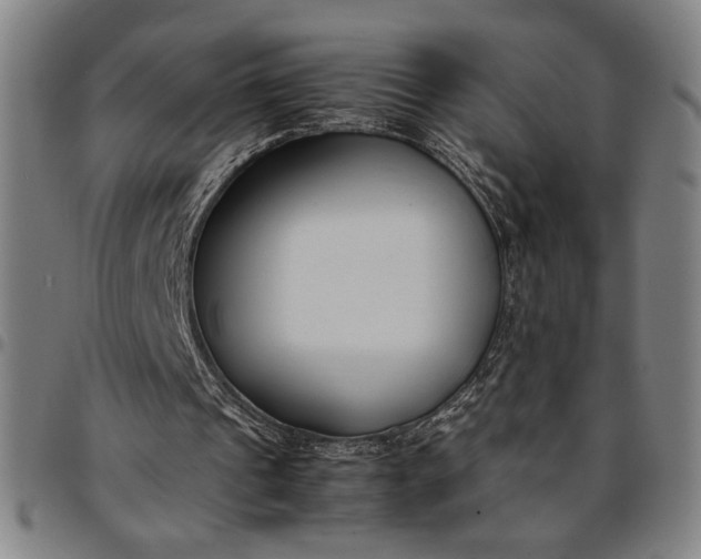 X0000094970241200712131501