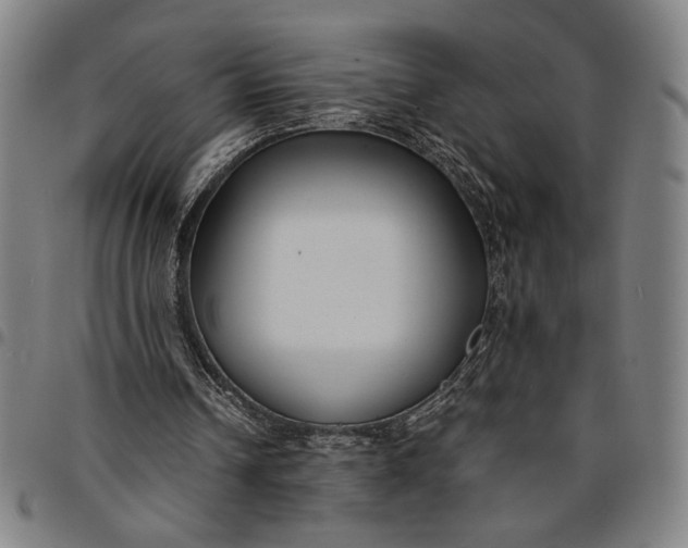 X0000094970242200712131501