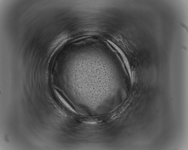 X0000094970243200712131501