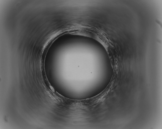 X0000094970244200712131501