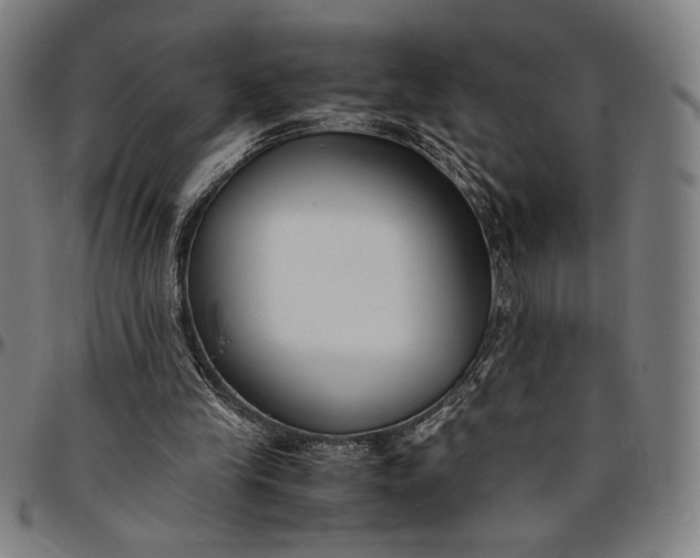 X0000094970245200712131501