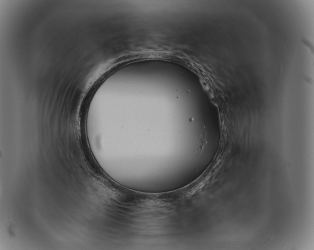 X0000094970246200712131501