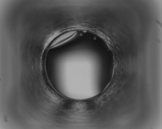 X0000094970248200712131501