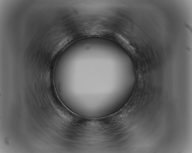 X0000094970250200712131501