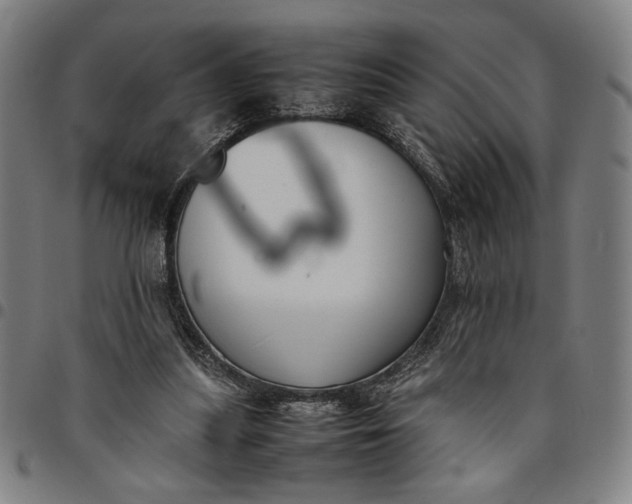 X0000094970251200712131501