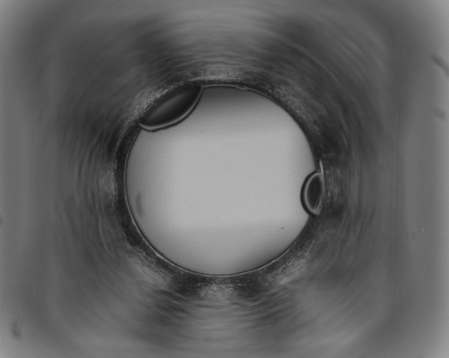 X0000094970252200712131501