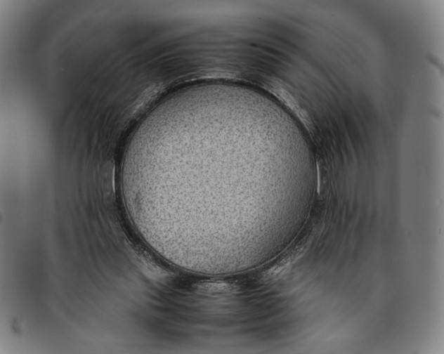 X0000094970253200712131501