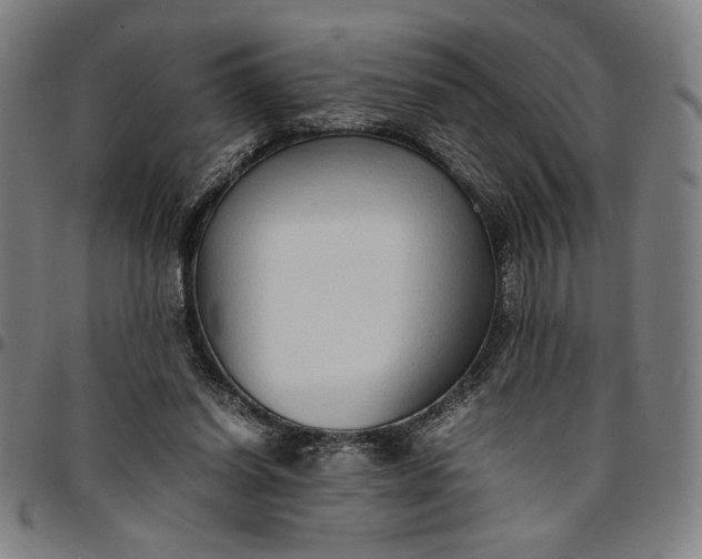 X0000094970254200712131501