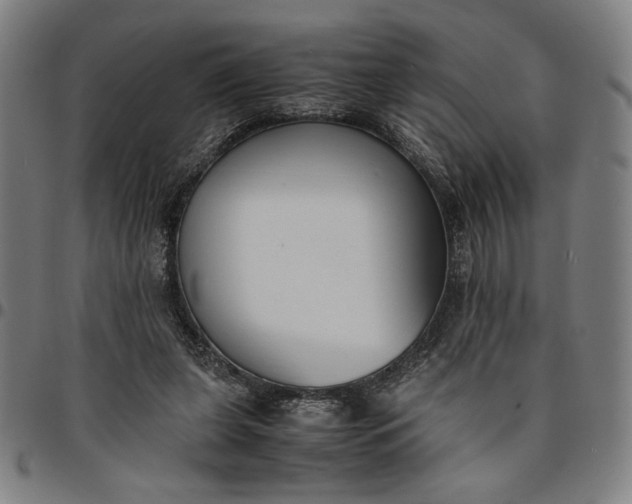 X0000094970255200712131501