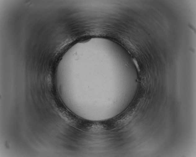 X0000094970256200712131501