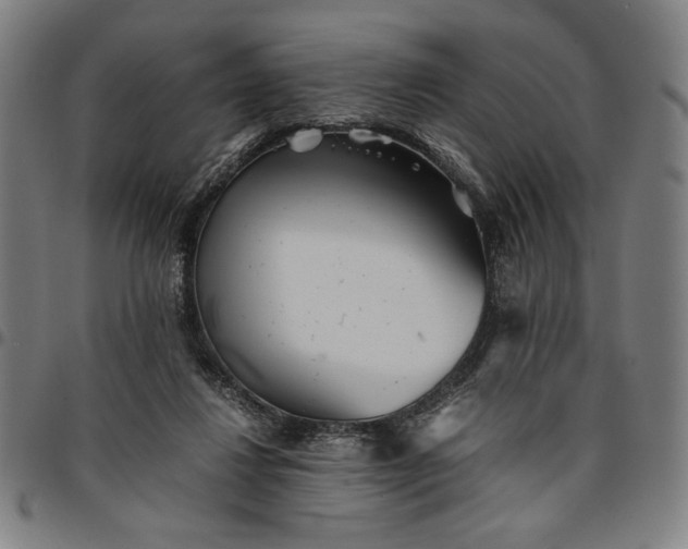 X0000094970260200712131501