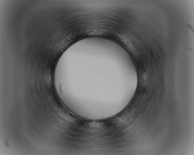 X0000094970261200712131501