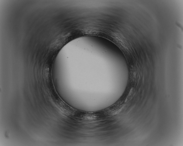 X0000094970263200712131501