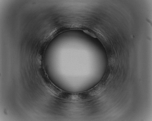 X0000094970264200712131501