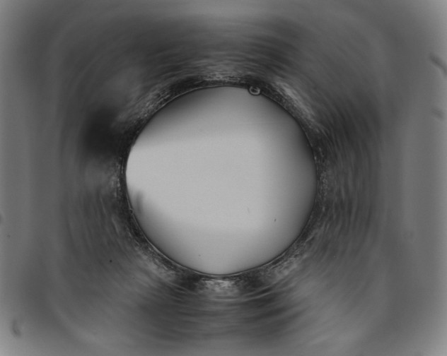 X0000094970265200712131501