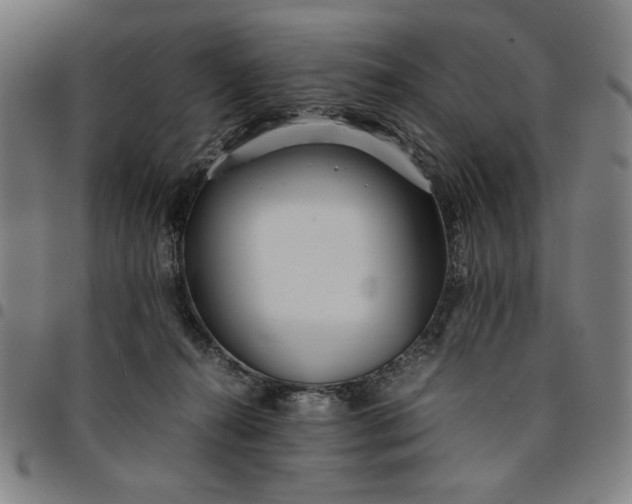 X0000094970272200712131501