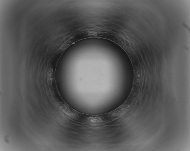 X0000094970275200712131501