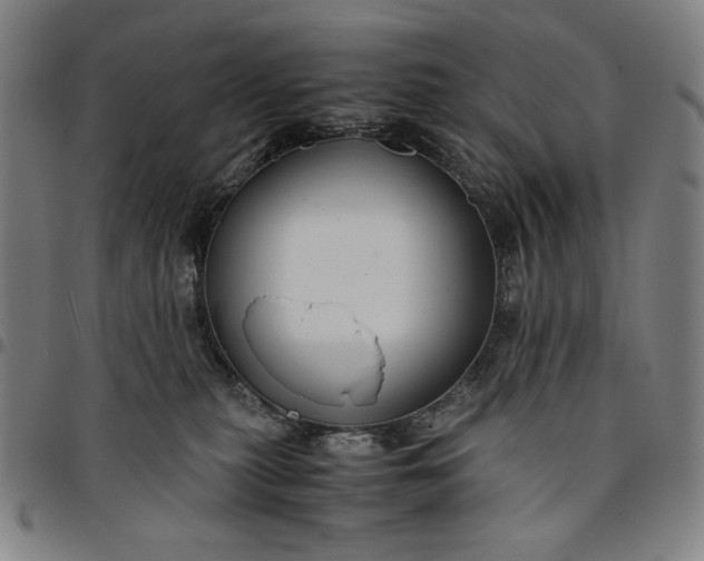 X0000094970279200712131501