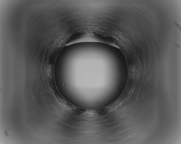 X0000094970280200712131501